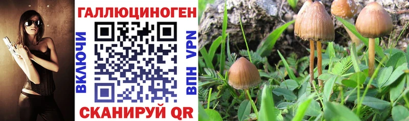Галлюциногенные грибы прущие грибы  Одинцово 